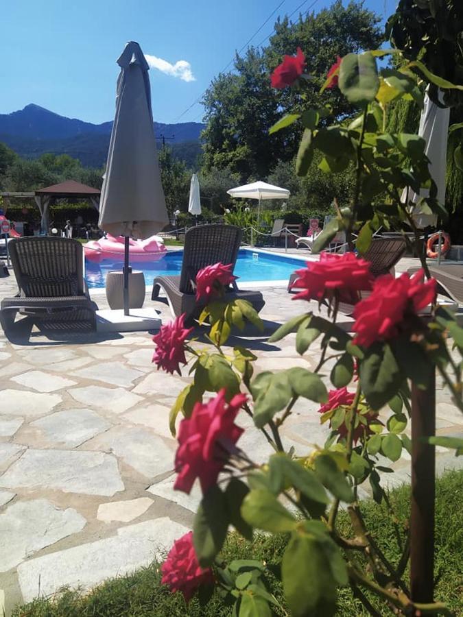 Villa Valeria Thassos ภายนอก รูปภาพ